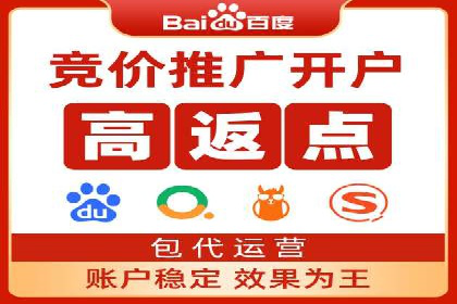 行业标杆：SEM推广代运营成功案例
